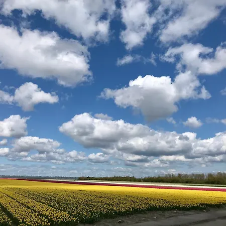Prázdninový dům Landelijk Gelegen